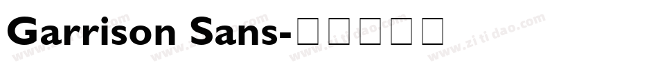 Garrison Sans字体转换